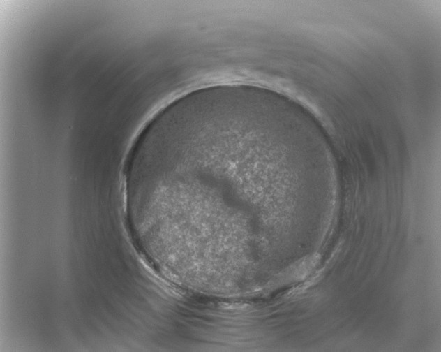 X0000075821509200609291357