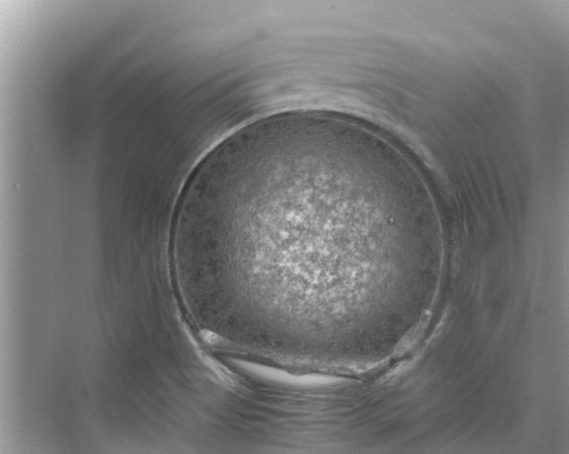 X0000075821513200609291357