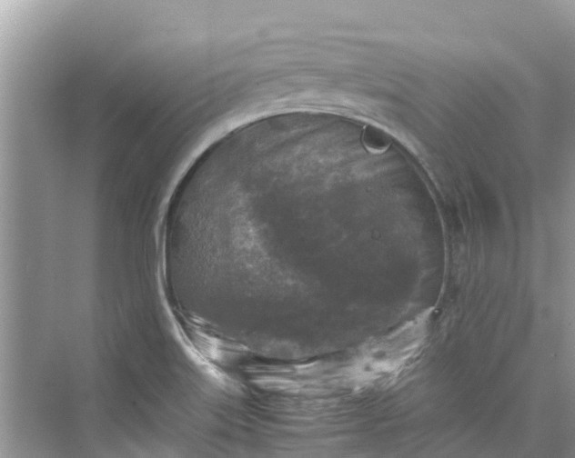 X0000075821515200609291357