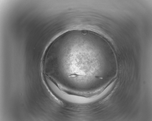 X0000075821517200609291357