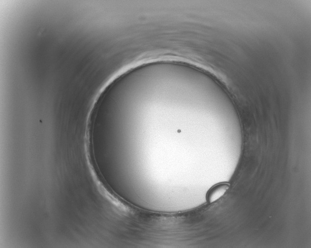 X0000075821518200609291357