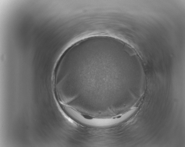 X0000075821519200609291357