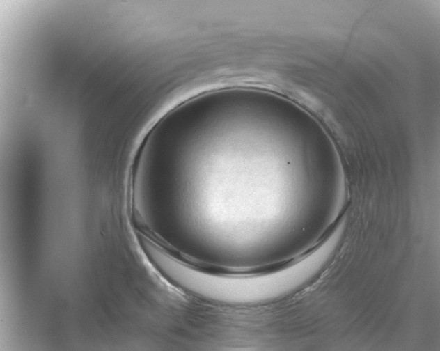 X0000075821520200609291357