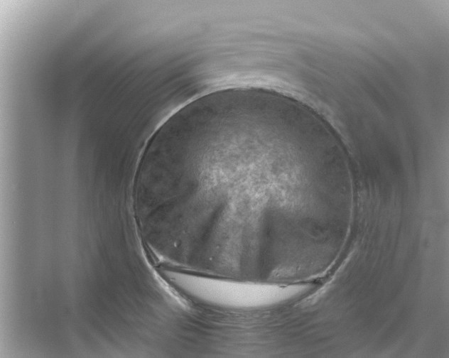 X0000075821521200609291357