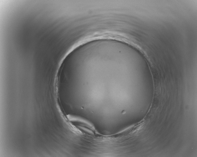 X0000075821522200609291358