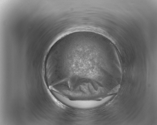 X0000075821523200609291358