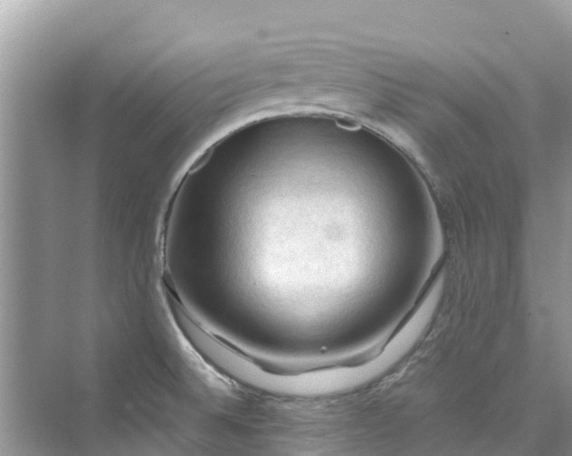 X0000075821524200609291358