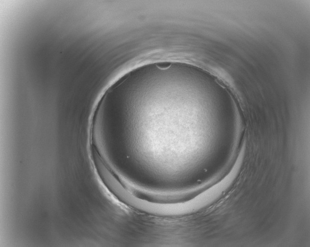 X0000075821528200609291358