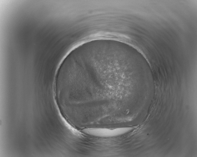 X0000075821531200609291358