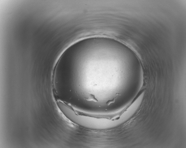 X0000075821532200609291358