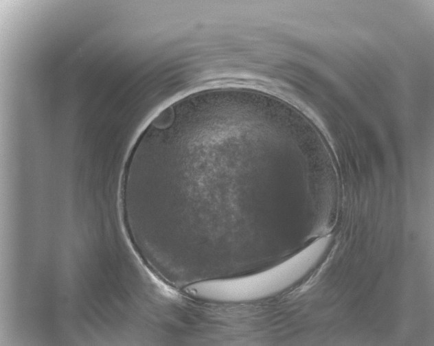 X0000075821533200609291358