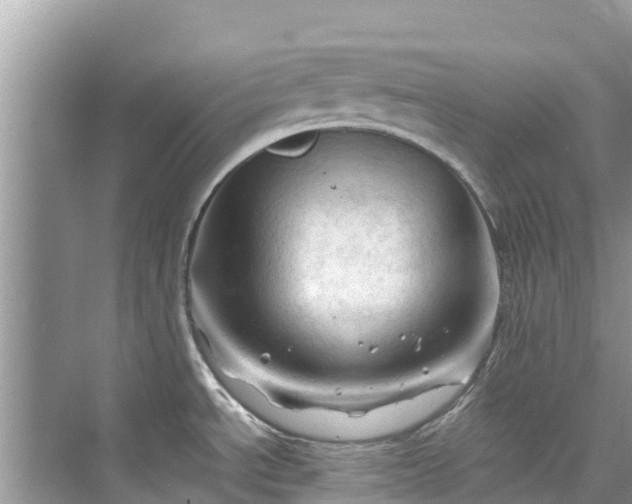 X0000075821534200609291358