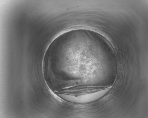 X0000075821535200609291358