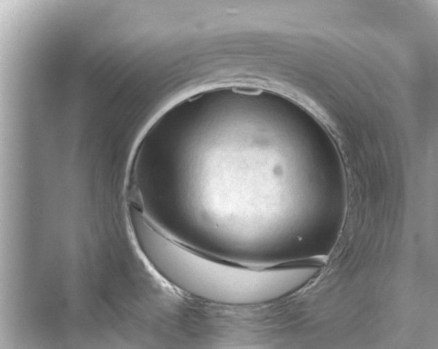 X0000075821536200609291358