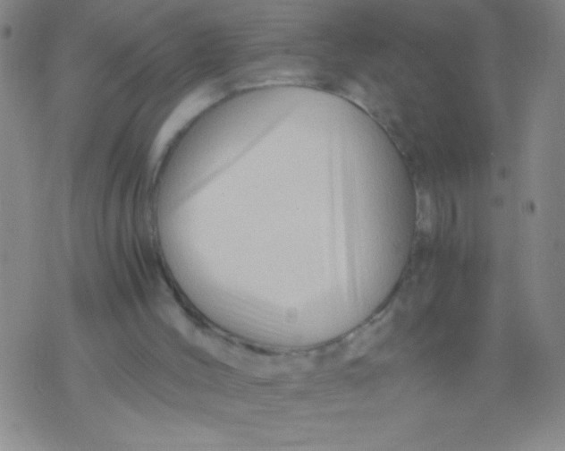 X0000075820004200610061808