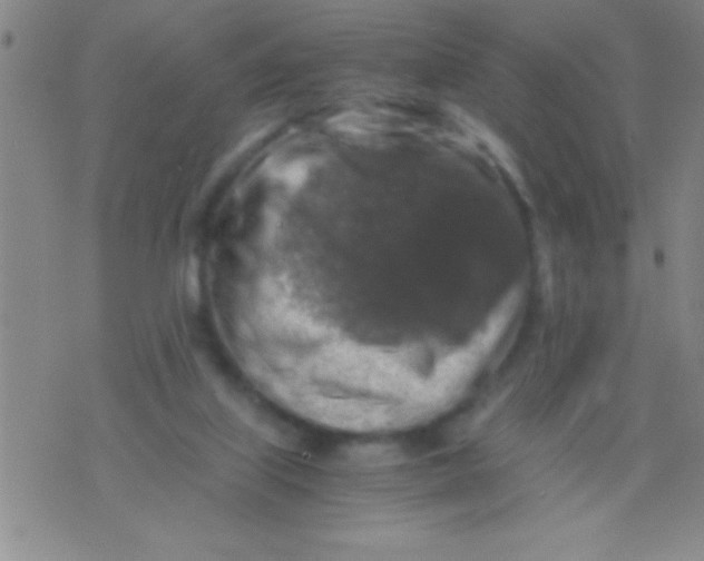 X0000075820067200610061807