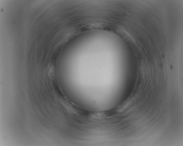X0000075820079200610061807
