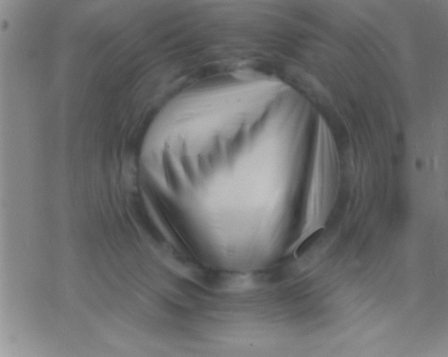 X0000075820083200610061807