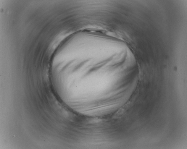 X0000075820098200610061807