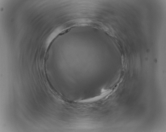 X0000075820099200610061807