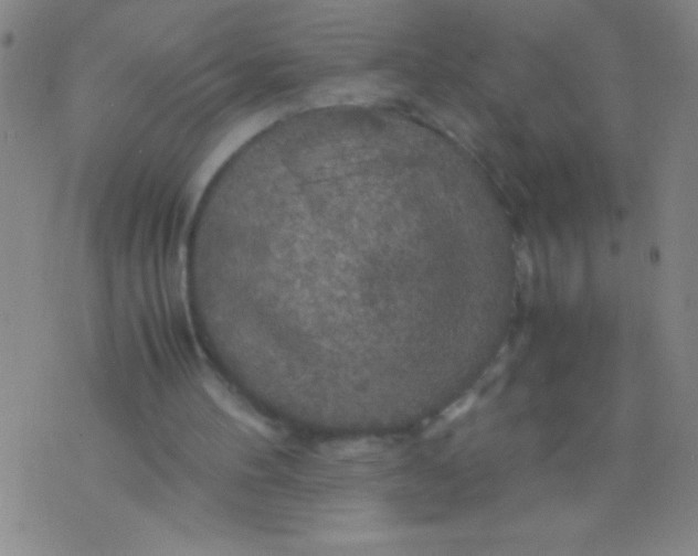 X0000075820100200610061807