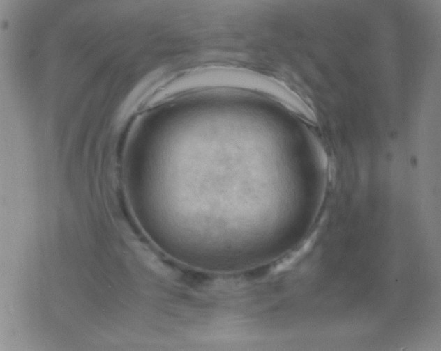 X0000075820101200610061807