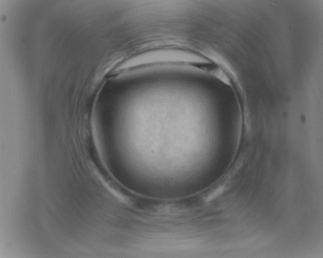 X0000075820105200610061807