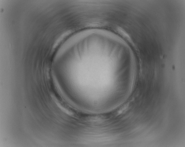 X0000075820106200610061807