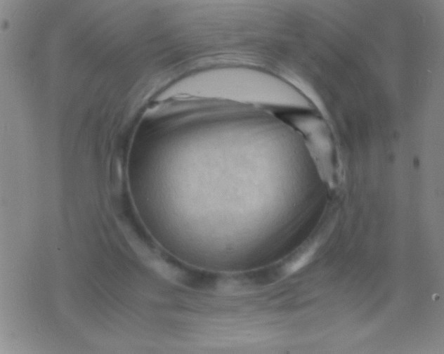 X0000075820109200610061807