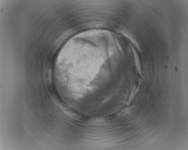 X0000075820110200610061807