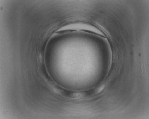 X0000075820117200610061806