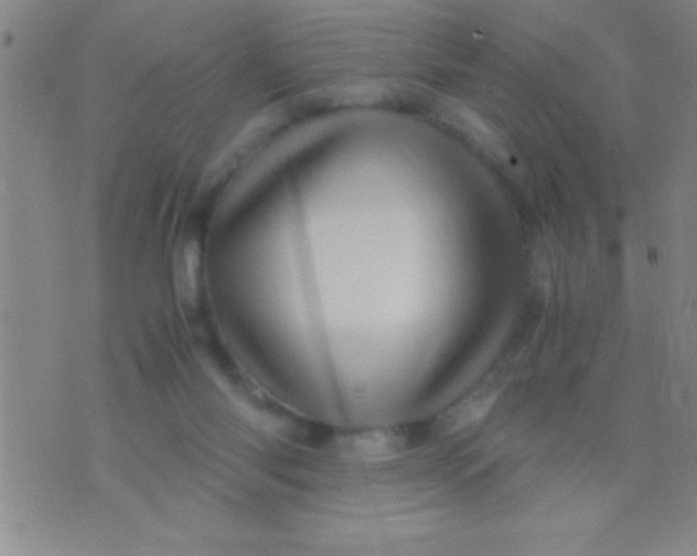 X0000075820118200610061806