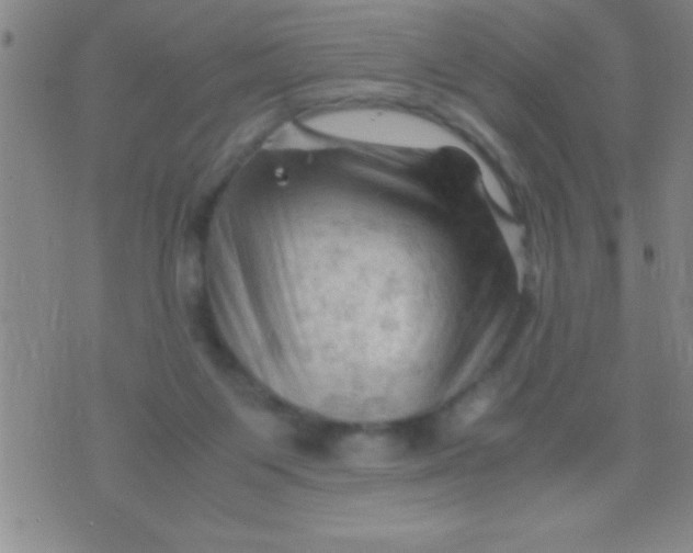 X0000075820119200610061806