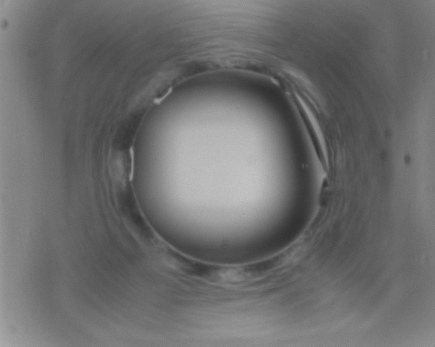 X0000075820121200610061806