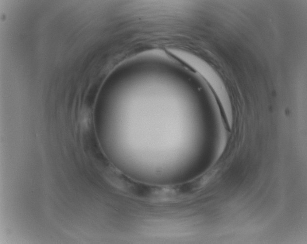 X0000075820125200610061806