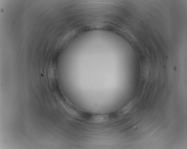 X0000075820126200610061806