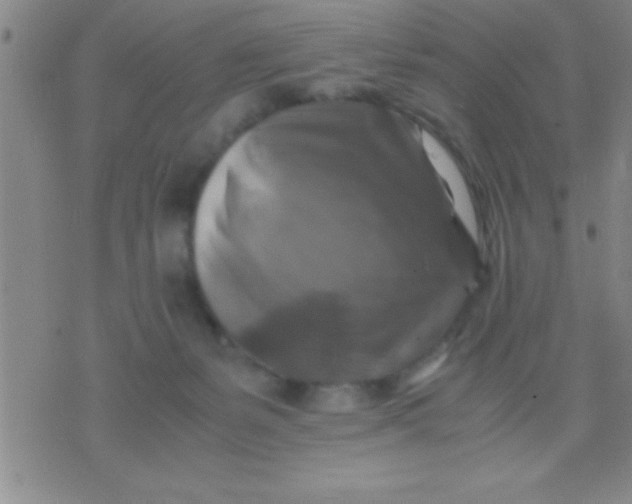 X0000075820127200610061806