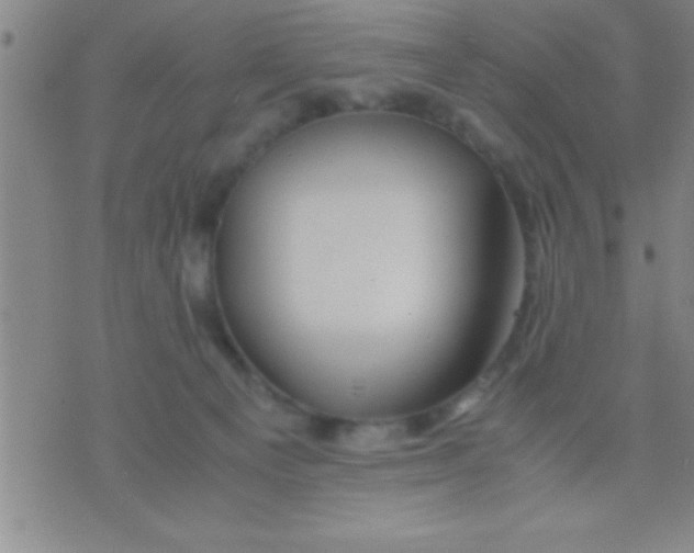 X0000075820129200610061806