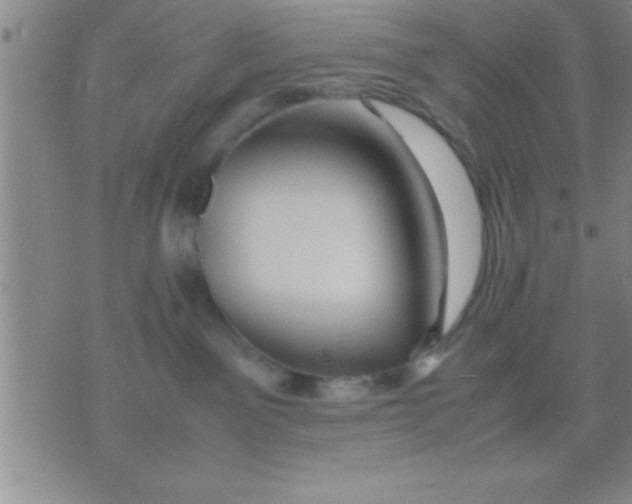 X0000075820141200610061806