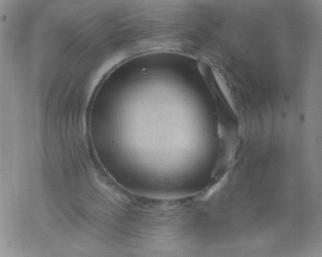 X0000075820148200610061805