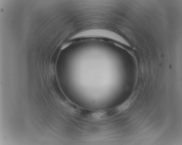 X0000075820172200610061806