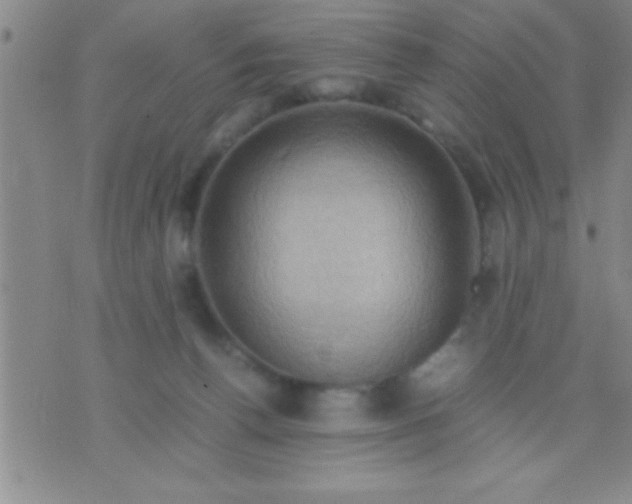 X0000075820176200610061806