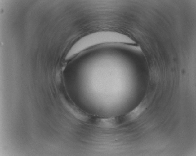 X0000075820188200610061806