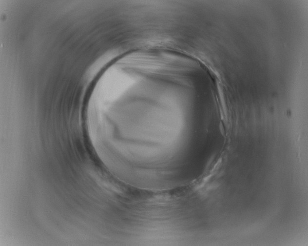 X0000075820196200610061805