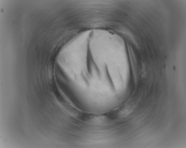 X0000075820210200610061805