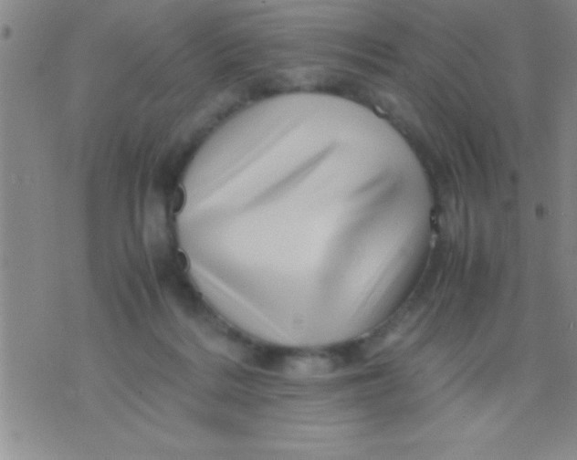 X0000075820220200610061805