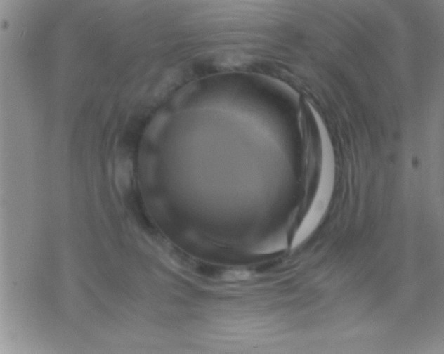 X0000075820227200610061805