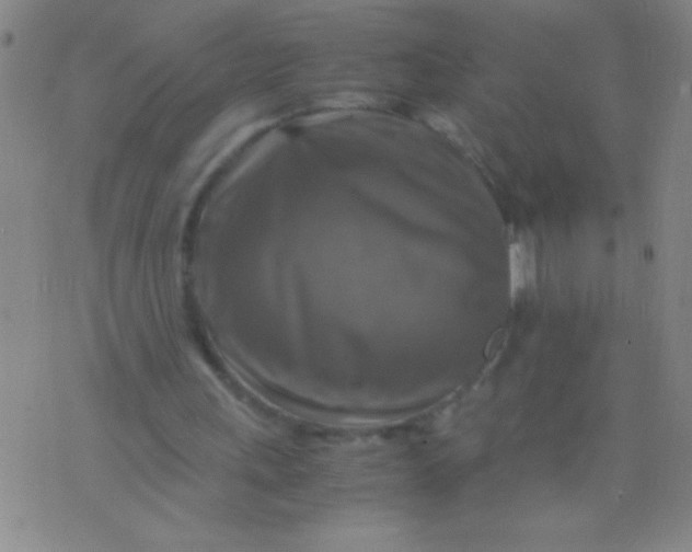 X0000075820243200610061804