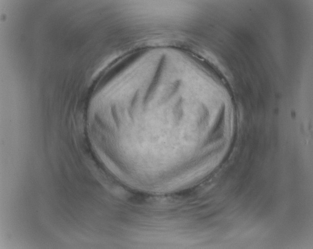 X0000075820297200610061804