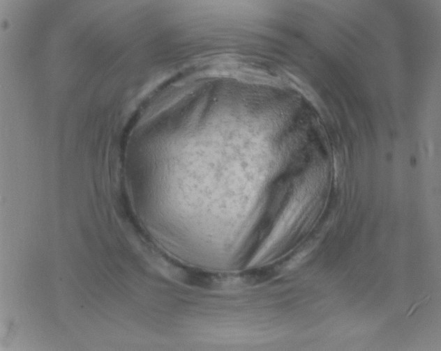 X0000075820301200610061803